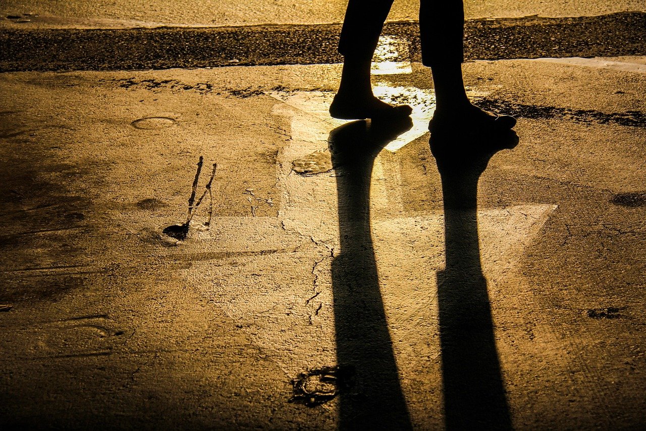 Constellations familiales Belgique